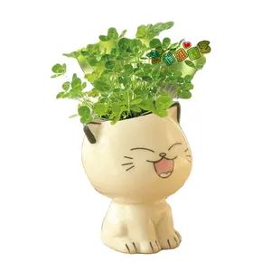 2023安いかわいいポランターセラミック漫画動物猫多肉植物屋内小さな鍋プランター磁器植木鉢