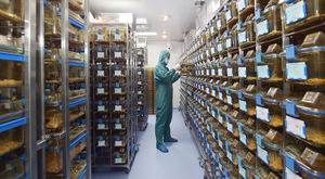 Mouse <span class=keywords><strong>Cage</strong></span> PLC IVC sistema attrezzature animali singolarmente ventilato gabbie per topi coniglio da laboratorio topi cavia - Product Image 6