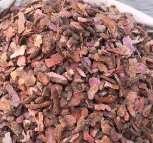 <span class=keywords><strong>Quan</strong></span> Shen สมุนไพรแห้ง Polygonum Paleaceum รากสำหรับขาย - Product Image 5