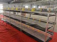 Cage à poulets portable facile à assembler pour poussins de 0 jour, neuve, avec plateau pour poussins de ferme