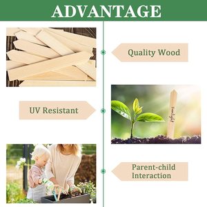 Fournitures de jardinage marqueurs de plantes signe de jardin bâton de plante graine légume giardino étiquettes de composteur outils de paysage - Product Image 2