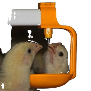 Abbeveratoi Automatici di Alta Qualità per <span class=keywords><strong>Animali</strong></span> da <span class=keywords><strong>Fattoria</strong></span>, Ciotola in Plastica con Valvola in Acciaio Inox, Nuova Attrezzatura Agricola - Product Image 2