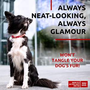 Collar de perro DB Red Luxury para razas pequeñas, medianas y grandes, cuero enrollado ultra suave con Cuello acolchado de 15-19 pulgadas - Product Image 2