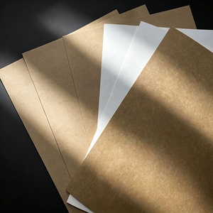 Kraft <b>Paper</b> Coated Kraft <b>Paper</b> Coated Kraft Liner Kraft <b>Paper</b> Bag with Valve Kraft <b>Paper</b> Food Pe Coated Kraft <b>Paper</b> - Product Image 2