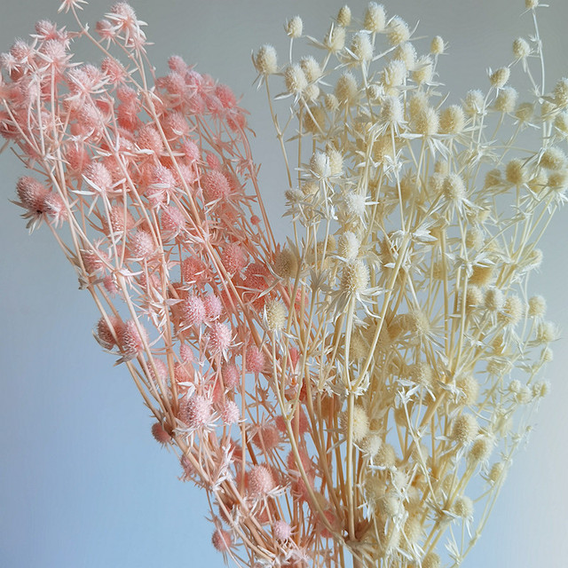 High Quality Floral Arrangement DIY Material Lover Fruit Preserved Eryngo Preserved Valentine's Fruit From YunNan