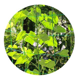 Filet en treillis pour plantes, treillis d'escalade pour légumes/clématite/concombre - Product Image 6