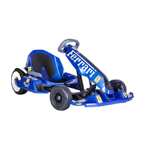 W Custom Color Pro 2 Fun for Teenage and Adult Races - Product Image 1