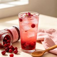Lotlong Chunky Fruit Pieces Premium OEM Fabriek Rose Cranberry Drankjamp voor Smoothie Bar Koffieshop Kiosk Winkel