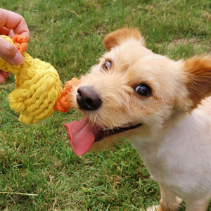 Giocattoli da Mordere per Cani ZMaker, Corda in Peluche Ecologica per Masticazione Aggressiva, Set Regalo Natalizio - Product Image 6