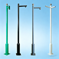 Poteau de Caméra de Sécurité Urbaine Octogonal à Bras Unique en Acier Inoxydable 304 avec LED AC IP68 pour Surveillance Complète
