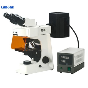 <span class=keywords><strong>Microscope</strong></span> trinoculaire mécanique SMART-3TRFL2 à illumination épi-fluorescente en champ sombre pour l'étude des cellules vivantes - Product Image 1