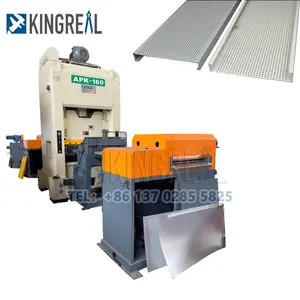 125 Ton Perforated Making Machine For Metal Sheet Coil Punching Hole Jump Punch For Different Design Unwind Punching Shearing