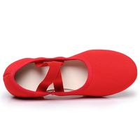 Chaussures de danse classique latine à talons plats pour femmes adultes, dessus en toile, semelles souples, semelle extérieure en caoutchouc, à lacets, pour professeurs
