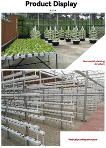 Sistema NFT vertical hidropónico de plástico para invernadero grande industrial con tubos dobles para cultivo de fresas - Product Image 6