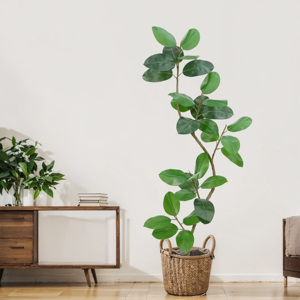 6ft הנמכר ביותר למכור עץ גדול עץ גומי ירוק מלאכותי עץ צמח פיקוס מקורה סלון עבור עיצוב משרדי bonsai - Product Image 2