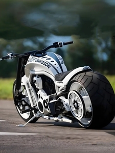 Motocicletta Importata <span class=keywords><strong>Wolverine</strong></span> - 1200cc >280km/h Potente, Resistente, Confortevole e dallo Stile Sportivo - Product Image 2