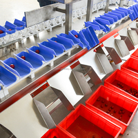 Commerciële 304 Roestvrijstalen Materiaal Gewichtsselectie Machine Plantaardige Zeevruchten Sorteermachine Kiwi Fruit Sorteermachines