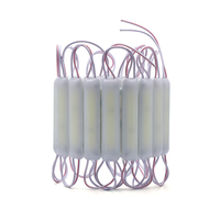 Module étanche LED haute luminosité 12V avec couleurs d'émission blanc chaud et jaune Éclairage basse tension IP65
