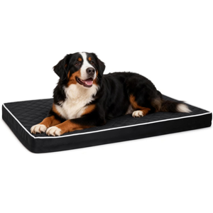 Cama Ortopédica Impermeable para Perros con Colchón y Funda Lavable Extraíble - Product Image 1