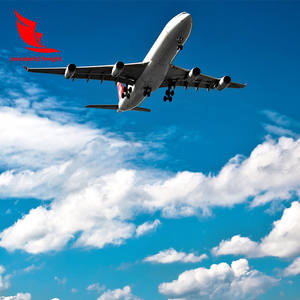 アラブ首长国连邦ドバイへのアラメックス航空 + エクスプレス送料 - Product Image 2