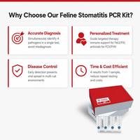 Kit de Detección PCR 4-Plex para Estomatitis Felina, Virus del Herpes Felino FeLV/FIV/FCV/FHV, Solo para Gatos, 4 Pruebas/Kit