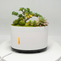 Humidificateur ultrasonique à effet plante, NOUVEAU diffuseur d'arômes innovant, VENTE CHAUDE, pour la maison, le bureau, aromathérapie, chargement Type-C