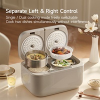 Autocuiseur Électrique Domestique Transfrontalier 5 Litres à Double Cœur avec Cuve Intérieure en Titane 800W à Contrôle par Micro-ordinateur