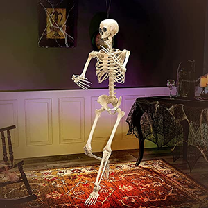Squelette d'Halloween de simulation humaine, accessoires de décoration pour fête d'horreur, squelette d'horreur, enseignement de l'anatomie humaine - Product Image 4