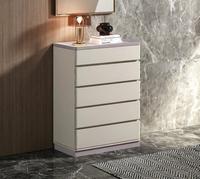 Lemari Sepatu Modern 5 Laci Pilihan Warna Finishing Dua Warna Desain Ramping Kamar Tidur Ruang Tamu Rumah Sakit Gudang Penyimpanan Terbaik