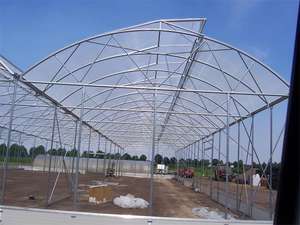 Invernadero Agrícola con Estructura Metálica, Invernadero Tropical para Horticultura, Precio - Product Image 2