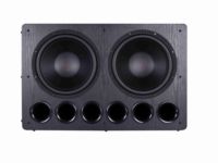 Caissons de basses actifs Tonewinner SW-D8000PRO de 15 pouces à double haut-parleur avec amplificateur de classe D