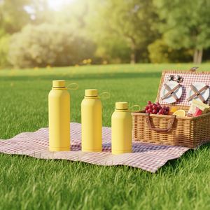 Bouteille d'eau isotherme moderne sans BPA de 500 ml avec poignée, double paroi, pour le sport, vente en gros de gobelets promotionnels - Product Image 3