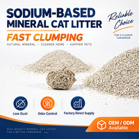 Litière pour chat en gel de silice écologique de qualité supérieure, bentonite de sodium, forme de boule, sans poussière, agglomération rapide, contrôle des odeurs, hautement absorbante, 1 kg