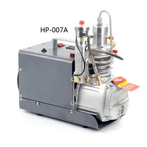 Set Up Pressure and Auto Stop Pcp PUMP 300bar 4500psi high pressure portable electric PCP air compressor