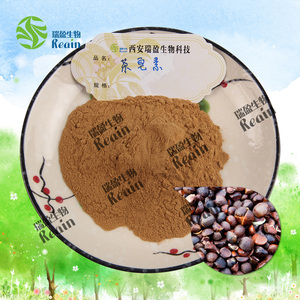 Factory Supply 85% Camellia Seed <strong>Saponin</strong> <strong>Extract</strong> Powder Tea <strong>Saponin</strong> - Product Image 2