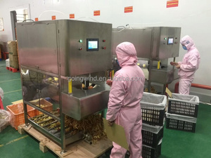 Tự động thương mại <span class=keywords><strong>Apple</strong></span> <span class=keywords><strong>Peeler</strong></span> <span class=keywords><strong>corer</strong></span> và <span class=keywords><strong>Slicer</strong></span> máy tự động công nghiệp điện trái cây Táo <span class=keywords><strong>Peeler</strong></span> thiết bị để bán - Product Image 6