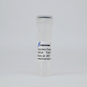 Enzima de Capping Tinzyme Vaccinia GMP-M062 50ul/frasco 99% Pureza Usada para Transcrição In Vitro Transfecção Microinjeção - Product Image 3