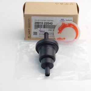 Válvula de Control de Purga 28910-22040 para Hyundai Kia 2891022040 - Product Image 1