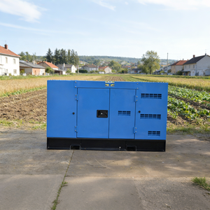 Générateur longue durée 7kW 8kW 9kW 10kW 230V 8kVA 7kVA 9kVA Perkins 10kVA - Product Image 4