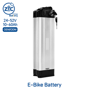 Beste 13ah 15ah 20ah 25ah 1000w 36v 48v 24v Lithium Hailong E-bike accu voor elektrische fietsen - Product Image 1