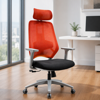 Chaise de bureau ergonomique en maille, vente en gros, directement de l'usine, dossier respirant, soutien lombaire réglable, pour poste de travail à domicile