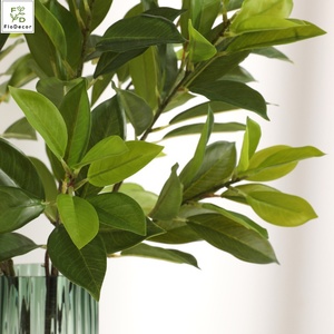 Üst satıcı yapay Ruscus aculeleaves festivali düğün dekorasyon için limon yaprağı dalları gerçek dokunmatik bırakır - Product Image 3