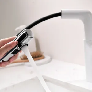 黒の新しいデザイン高品質白鳥金属バスキッチン水栓