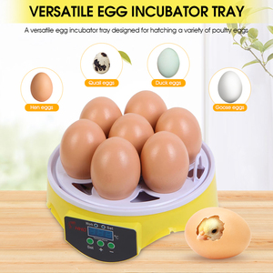 Hobby-incubadora automática de 7 huevos, máquina pequeña para incubar huevos, precio - Product Image 2