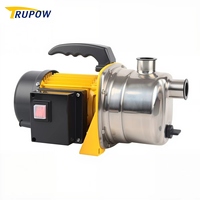 Pompe à jet auto-amorçante haute performance hydraulique TP03306, profondeur d'aspiration 8M pour puits, jardinage domestique et pressurisation d'eau
