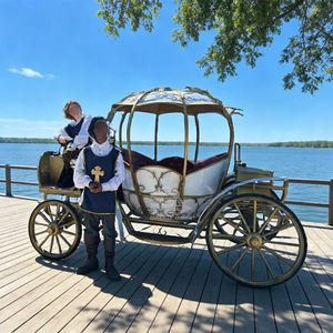 Chariot de mariage électrique Cendrillon avec de magnifiques lumières, fabricants de calèches royales - Product Image 6