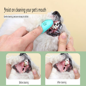 KingHon 2024 Nouveaux produits de nettoyage buccal pour chiens et chats, ensemble dentifrice et brosse à dents, vente en gros d'usine - Product Image 5