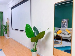 AliExpress Hot Bán 100 120 <span class=keywords><strong>inch</strong></span> 16:9 điện màn hình chiếu tường rạp hát tại nhà thay thế LCD màn hình TV cho 4K HD chiếu - Product Image 2