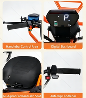 Kart Eléctrico Todoterreno con Descuento por Volumen de Fábrica, 1500W 48V, Transmisión por Cadena para Adultos, Alquiler en Zonas Turísticas, Playa y Todoterreno