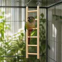 Jouet en bois pour oiseaux, accessoires pour cage à oiseaux, petite échelle colorée pour grimper, design anti-évasion, fabriqué dans le Zhejiang